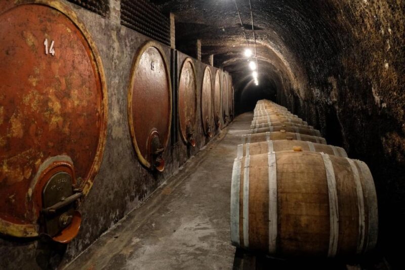 Lake of Bolsena: Private Cellar Tour and Wine Tasting - The Sum Up