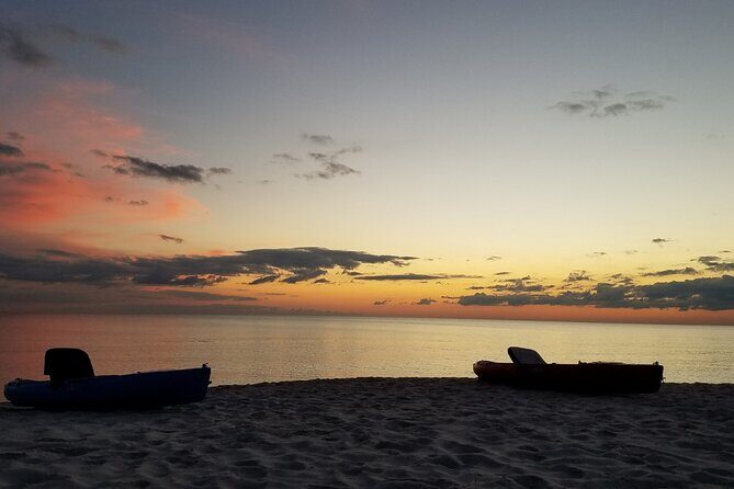 Lake Osborne Gator Watch Tour - An In-Depth Look at the Lake Osborne Gator Watch Tour