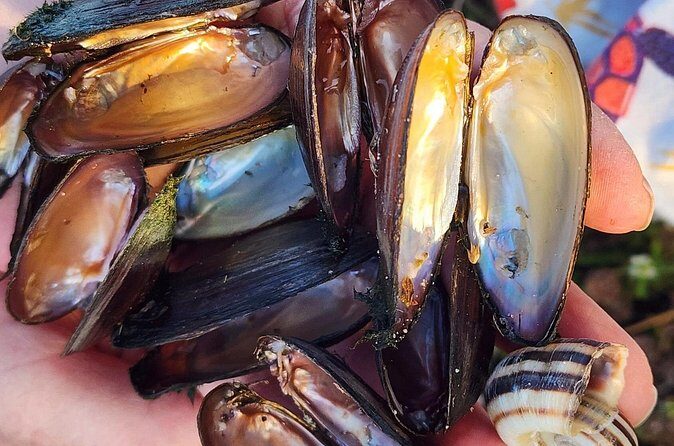 Lake Osborne Gator Watch Tour - Final Thoughts: Is It Worth It?