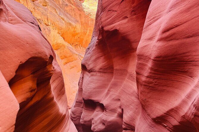 Lake Powell Premium Kayak Rental - The Sum Up: Who Should Consider This Tour?