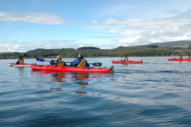 Lake Rotoiti Guided Hot Pools Kayak Trip - The Sum Up: Whom This Tour Suits Best