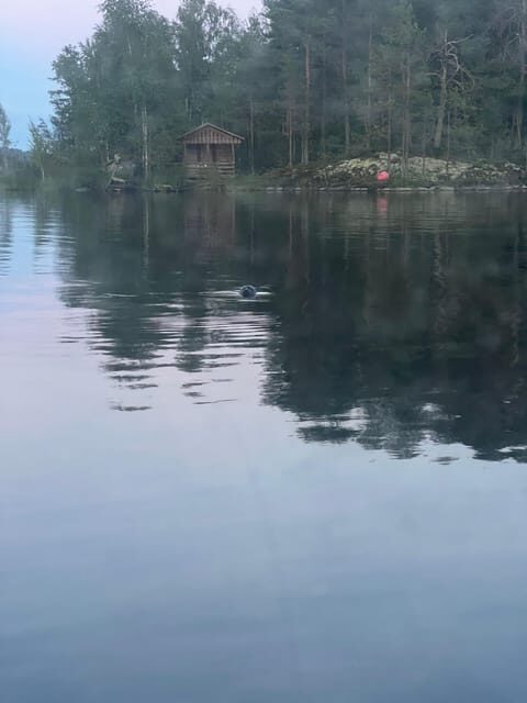Lake Saimaa story cruise by Ecoboat in Puumala - Lake Saimaa Story Cruise by Ecoboat in Puumala