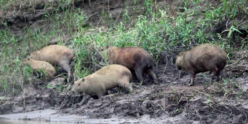 Lake Sandoval Full Day - Why This Tour Offers Great Value