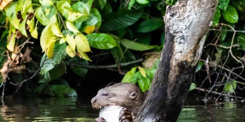 Lake Sandoval Full Day - Who Would Enjoy This Tour?