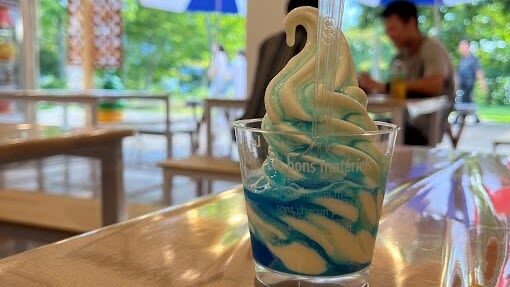 Lake Shikotsu & Toya Bus tour / TV Tower Ticket (Multilingual Audio) - Nakayama Pass and the return to Sapporo