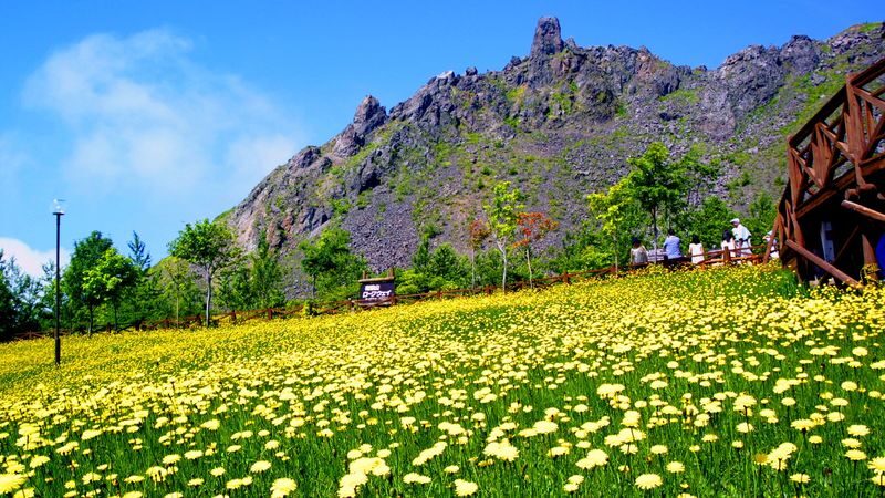 Lake Shikotsu & Toya Bus tour / TV Tower Ticket (Multilingual Audio) - Who will get the most from this tour