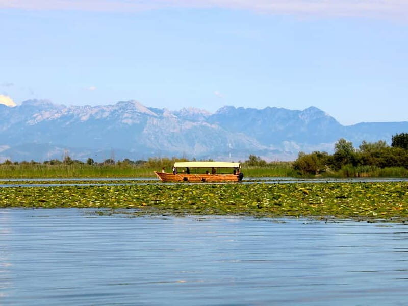 Lake Skadar: Guided Sightseeing Boat Tour with Drinks - The Deep Dive: Why This Tour Excites Travelers
