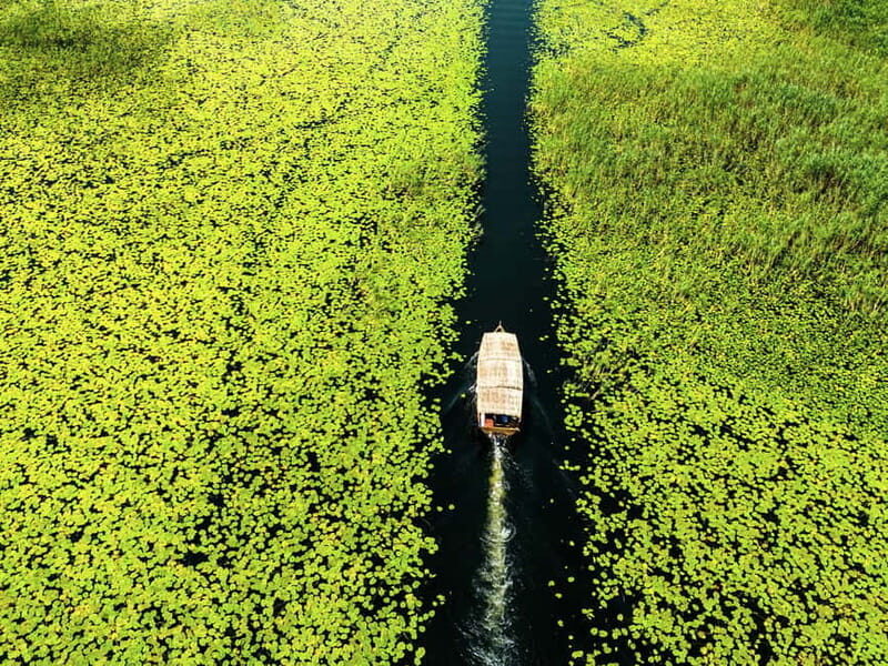 Lake Skadar: Guided Sightseeing Boat Tour with Drinks - Practical Details & Tips