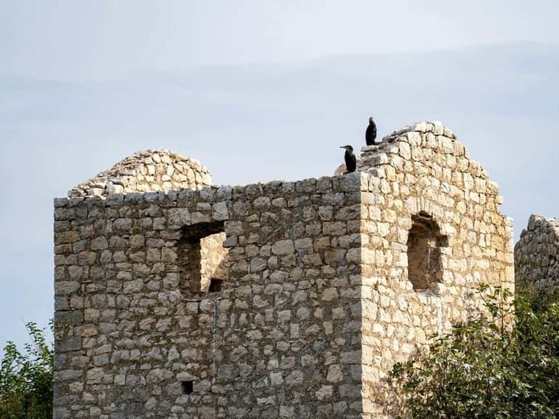 Lake Skadar: Short Boat Tour to Grmour Fortress with Drinks - Why This Tour Is a Great Pick