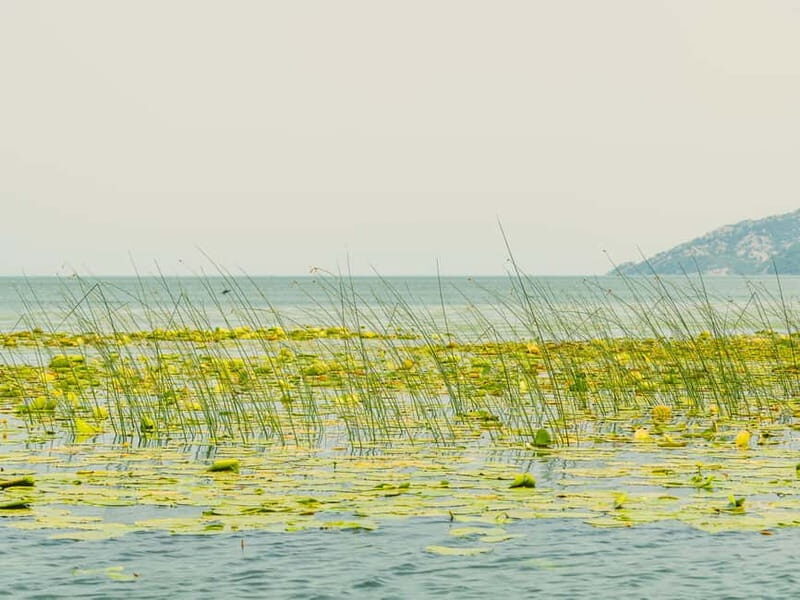 Lake Skadar: Short Boat Tour to Grmour Fortress with Drinks - Final Thoughts