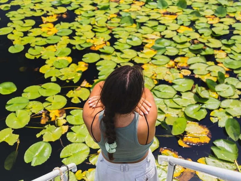 Lake Skadar: Visit the Montenegrin Venice - A Deep Dive into the Lake Skadar Experience