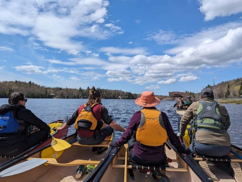 Lake Superior: Maple Island Guided Canoe Tour with Snack - Who Should Consider This Tour?