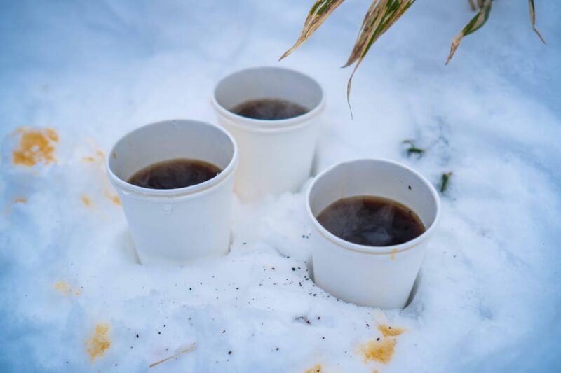 Lake Tachibana: Snowshoe to a frozen lake! - Value and Pricing