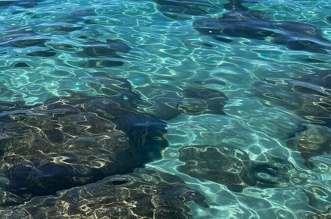 Lake Tahoe Clear Kayak Adventure at Stateline Nevada - Key Points