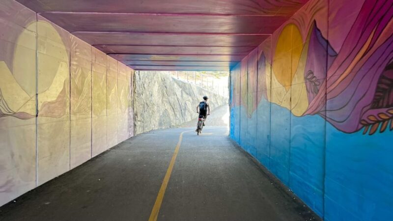 Lake Tahoe: Electric Bike Rental - An In-Depth Look at the Lake Tahoe Electric Bike Experience