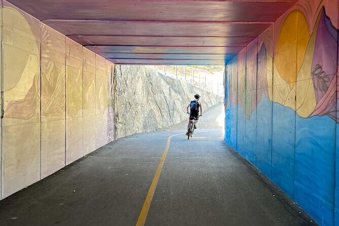 Lake Tahoe: Full Day Self-Guided Bike Tour - A Deep Dive into the Lake Tahoe Full Day Bike Tour