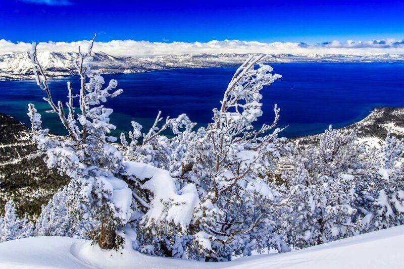 Lake Tahoe: Half-Day Photographic Scenic Tour - An In-Depth Look at the Lake Tahoe Photographic Tour