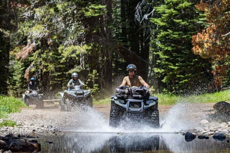 Lake Tahoe: Rubicon Trail Guided Off Road ATV Tour - Key Points