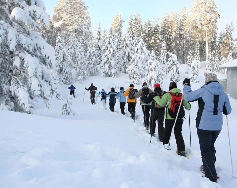 Lake Tahoe: Scenic Snowshoe Tour in a Winter Wonderland - The Experience in Detail