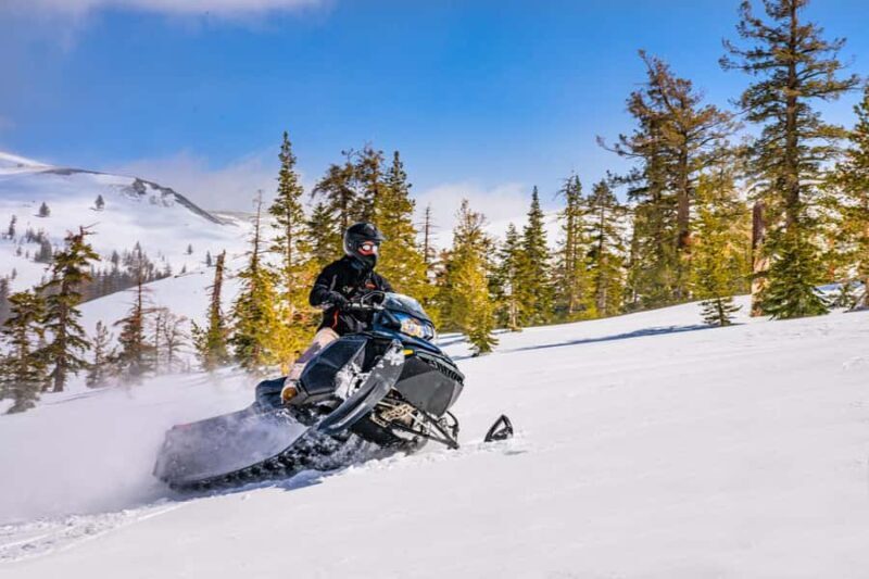 Lake Tahoe: Summit Snowmobile Tour with Scenic Views - A Closer Look at the Snowmobile Tour