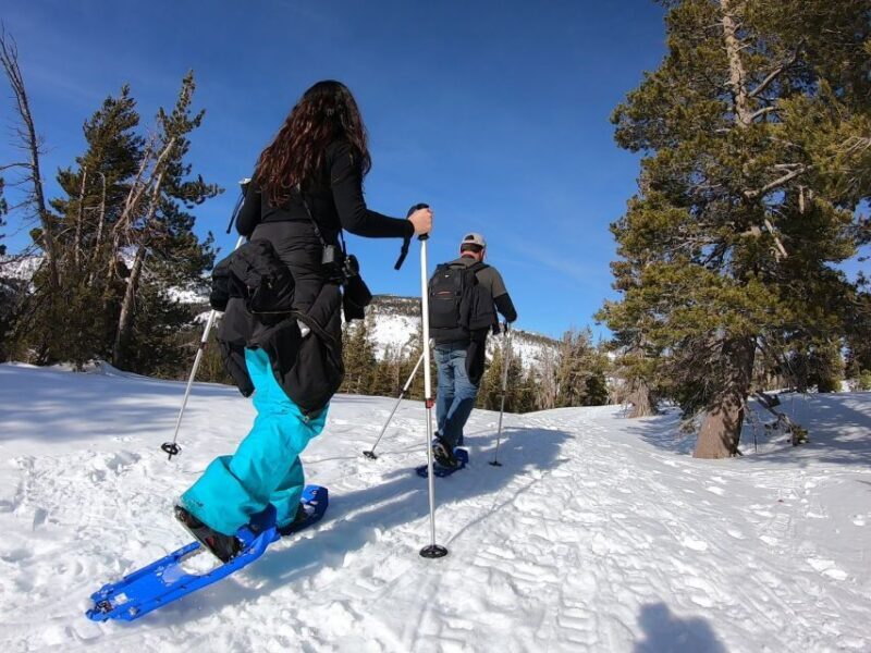 Lake Tahoe: Sunset Snowshoe Trek with Hot Drinks and Snacks - Key Points