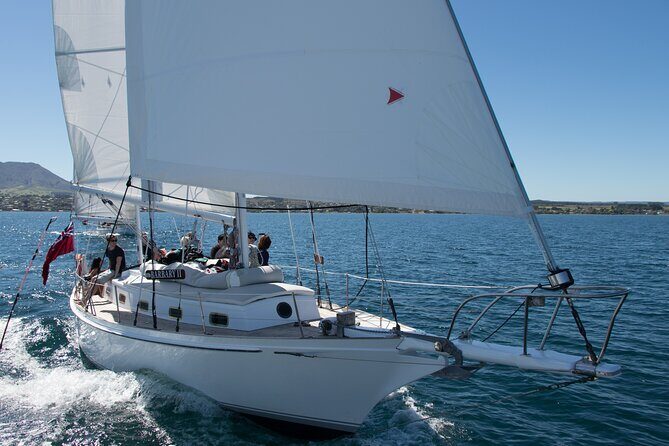 Lake Taup Private Day Tour from Auckland to Mori Rock Carvings - Key Points