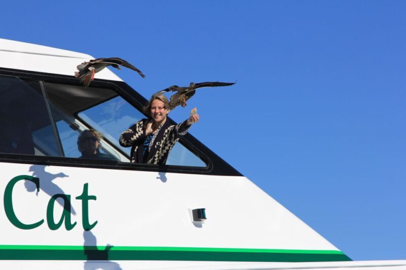 Lake Taupo: 1.5-Hour Maori Rock Carvings 5:00 PM Cruise - A Detailed Look at the Lake Taupo Maori Rock Carvings Cruise