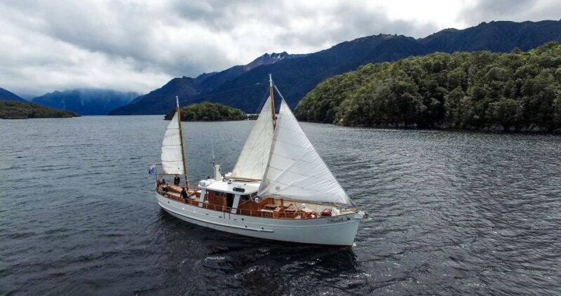 Lake Te Anau: 3-Hour Boat Cruise with Guided Walk - Wrapping Up and Heading Back