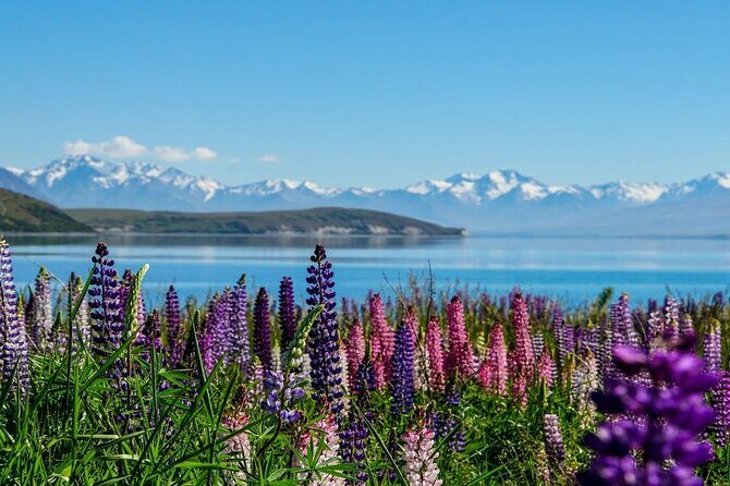 Lake Tekapo to Mt Cook One-Way Small Group Tour - A Scenic Journey from Lake Tekapo to Mt Cook: What You Need to Know