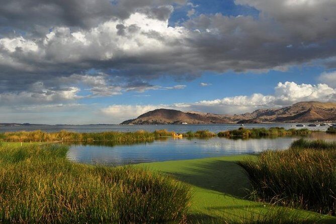 Lake Titicaca Day Tour from Puno - Key Points