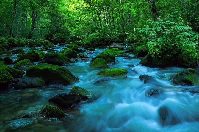 Lake Towada Cruise and Oirase Gorge Drive with Hakkoda Ropeway - A Comprehensive Look at the Lake Towada Cruise and Oirase Gorge Drive with Hakkoda Ropeway