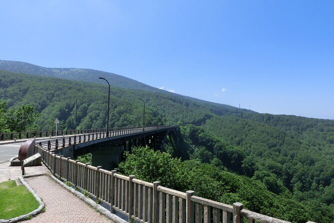 Lake Towada Cruise and Oirase Gorge Drive with Hakkoda Ropeway - Who Should Book This Tour?