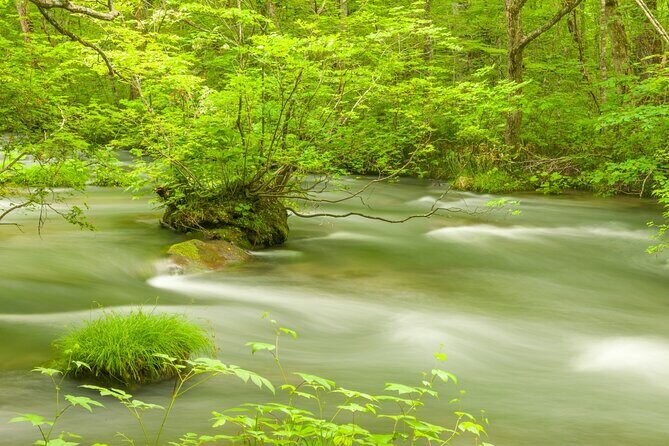 Lake Towada Cruise and Oirase Gorge Drive with Hakkoda Ropeway - Final Thoughts