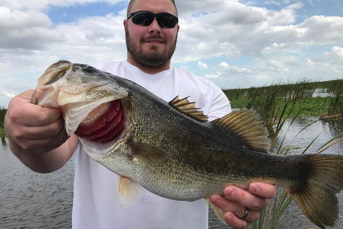 Lake Trafford Fishing Trips near Naples Florida - The Realities of the Experience