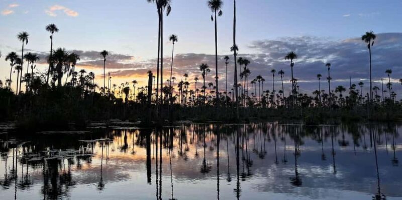 Lake Yacumama - Sunrise or Sunset - Key Points