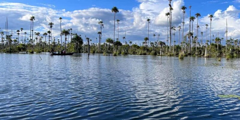 Lake Yacumama - Sunrise or Sunset - What Travelers Are Saying