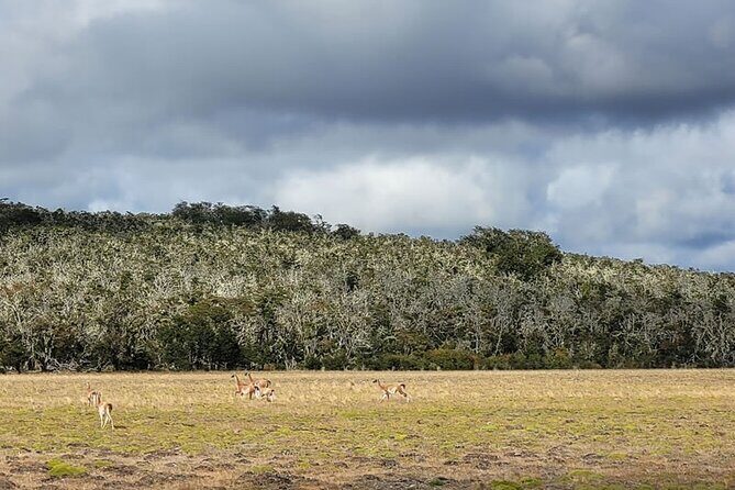 Lake Yehuin Ancestral Circuit in 4x4 Vehicle with Lunch - The Sum Up