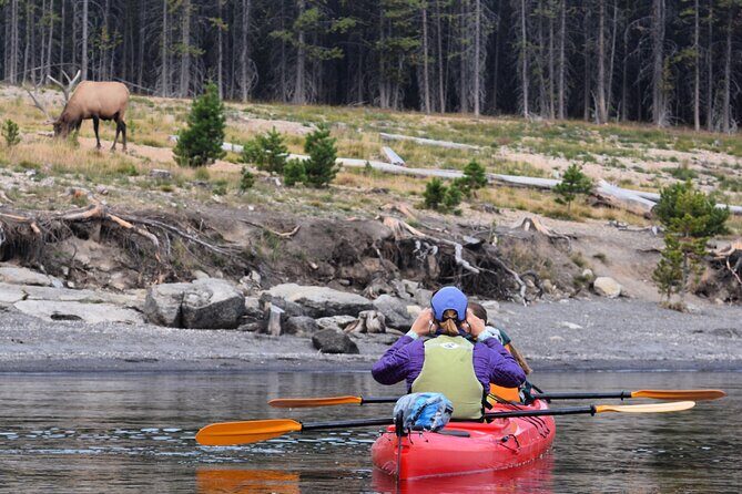 Lake Yellowstone Half Day Kayak Tours Past Geothermal Features - Frequently Asked Questions