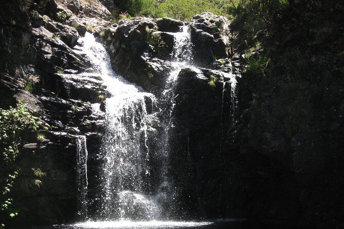 Lakes of Madeira- Alecrim Full day walk - Learning from Your Guide