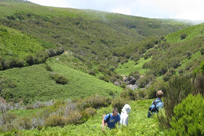 Lakes of Madeira- Alecrim Full day walk - Highlights and Unique Features