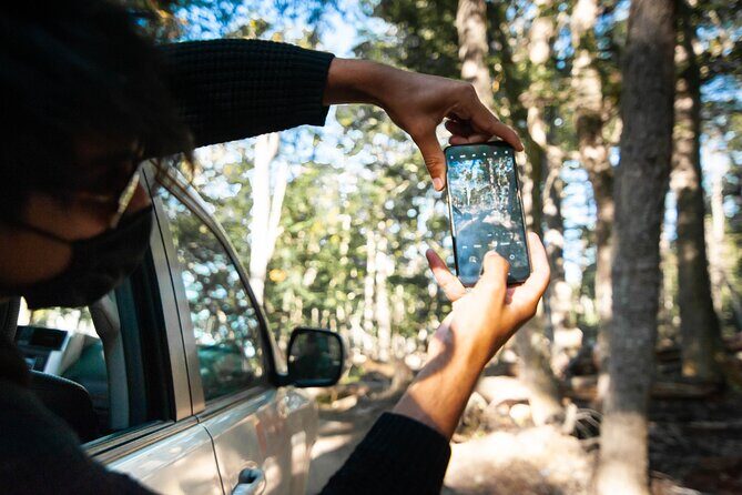 Lakes off road - An In-Depth Look at Lakes Off Road Tour