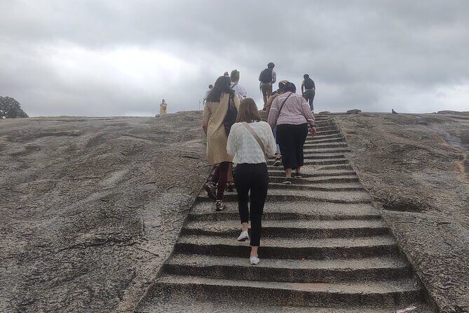 Lalbagh Botanical Garden Early Morning Walk + Breakfast at MTR - Final Thoughts