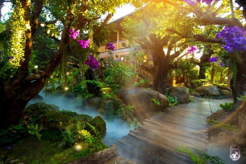 Lalita Cafe & Chiang Rai Temple(White+Blue) from Chiangmai - Mae Kachan Hot Springs: A Natural Welcome