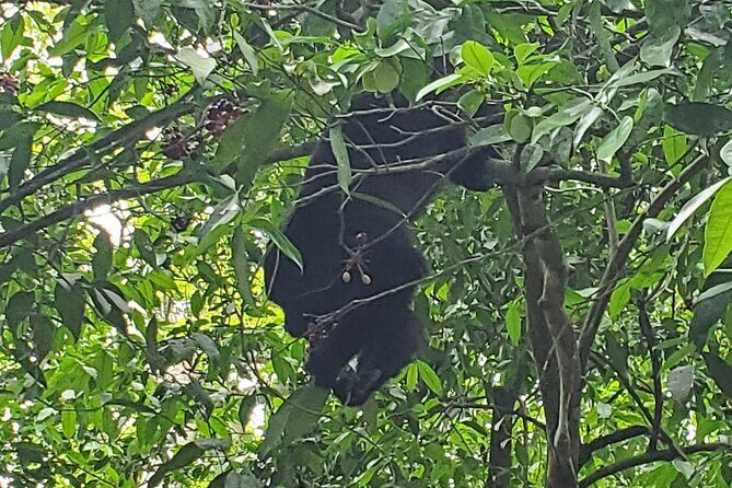 Lamanai Day Tour - FAQ