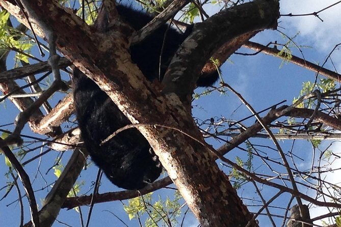 Lamanai Day Trip from San Ignacio - Final Thoughts