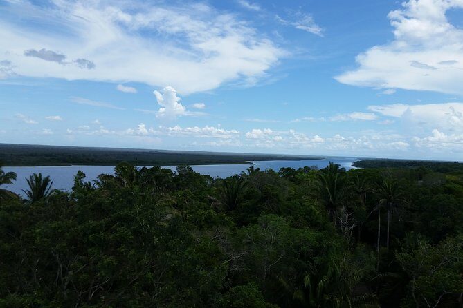 Lamanai Mayan Site and Safari River tour from Belize City - Exploring the Details: A Deep Dive into the Lamanai Tour