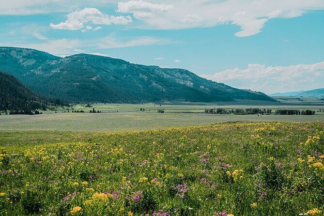 Lamar River Valley Day Hike Tour - Exploring Yellowstone’s Lamar River Valley on a Guided Day Hike