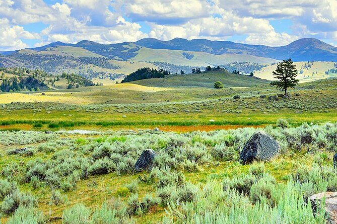 Lamar River Valley Day Hike Tour - Key Points