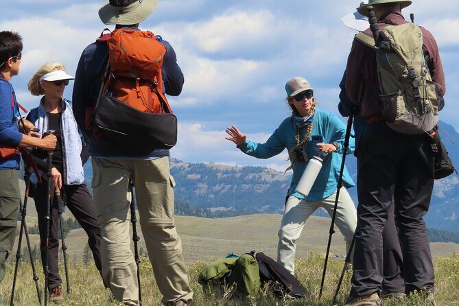 Lamar Valley Safari Hiking Tour with Lunch - Detailed Description of the Tour Experience