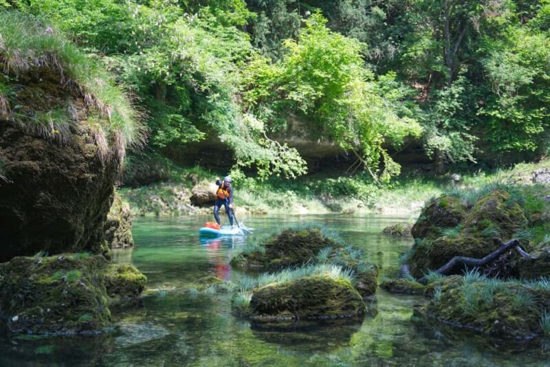 Lambach: Guided SUP & kayak tour through the Natura 2000 area Traun - Experience Overview: What to Expect on the Traun River Tour